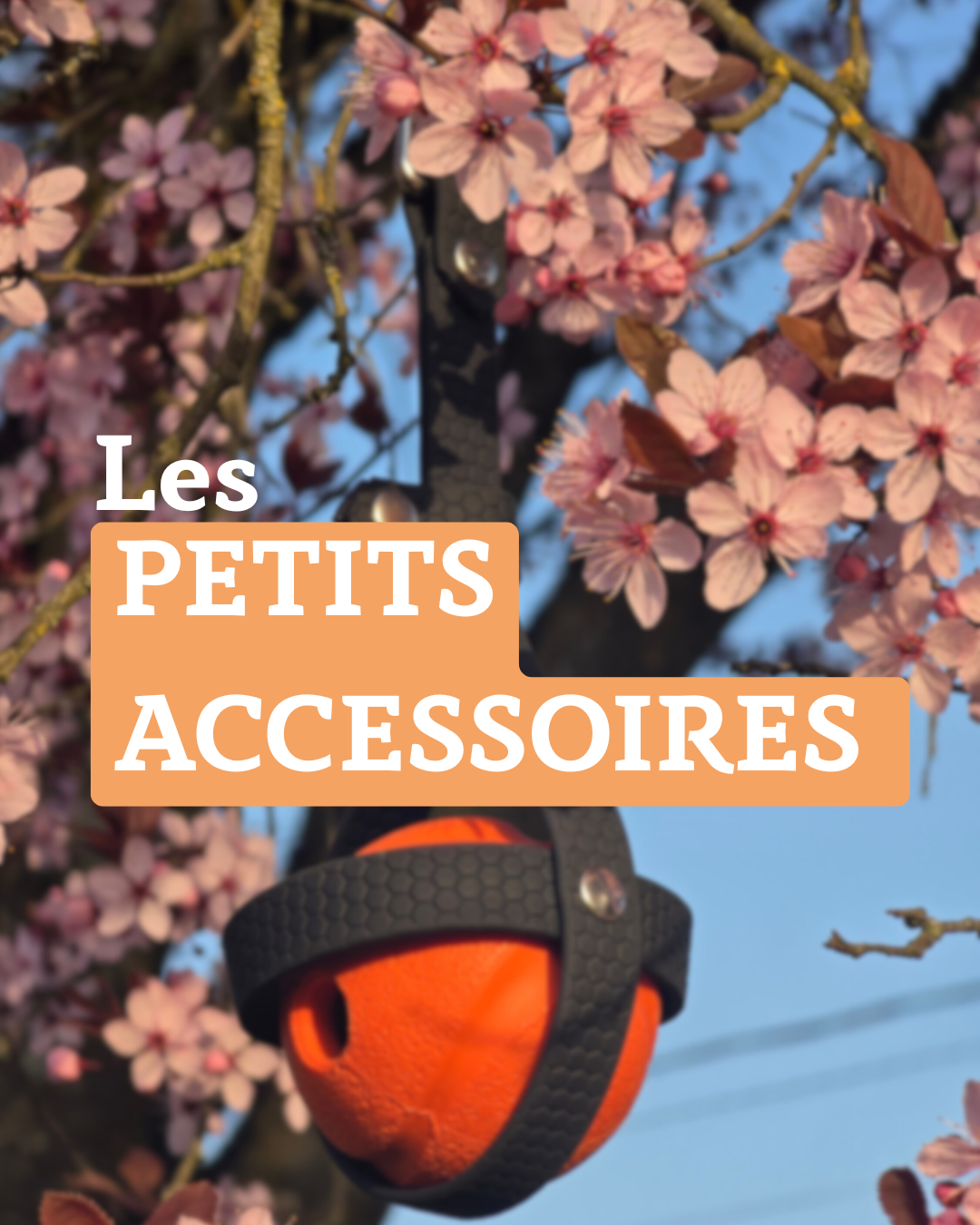 Petits accessoires