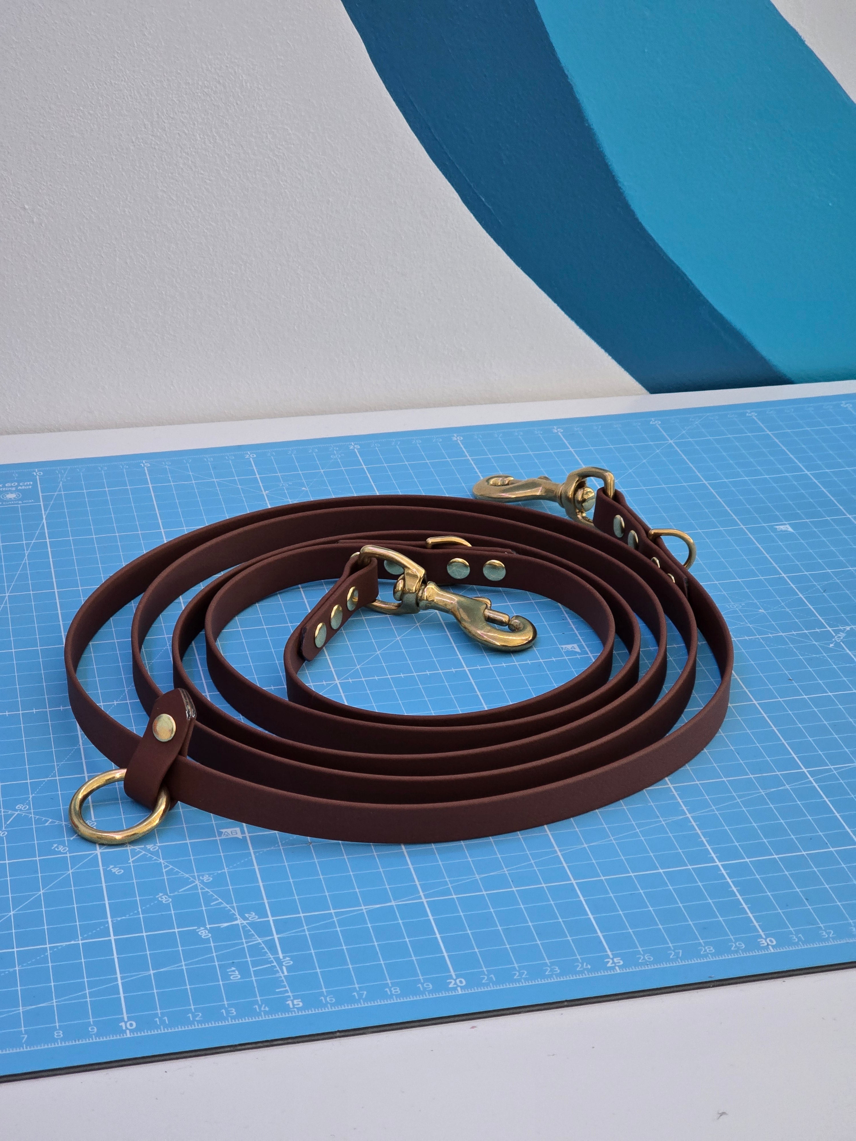 Laisse Multiposition en BioThane®