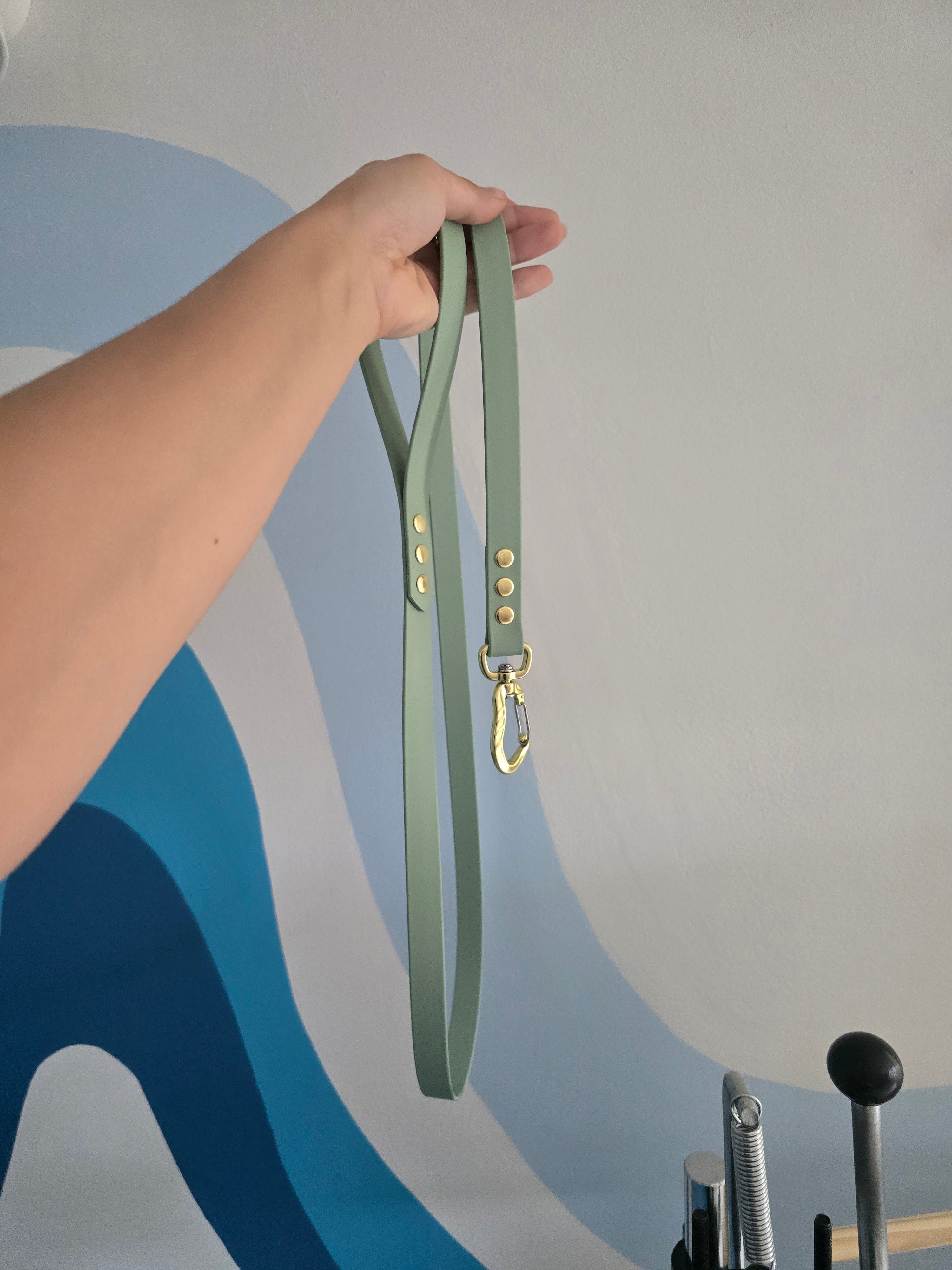 Laisse BioThane 1m50 - 19 mm