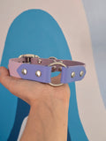 Myosotis Taille M - 25 mm