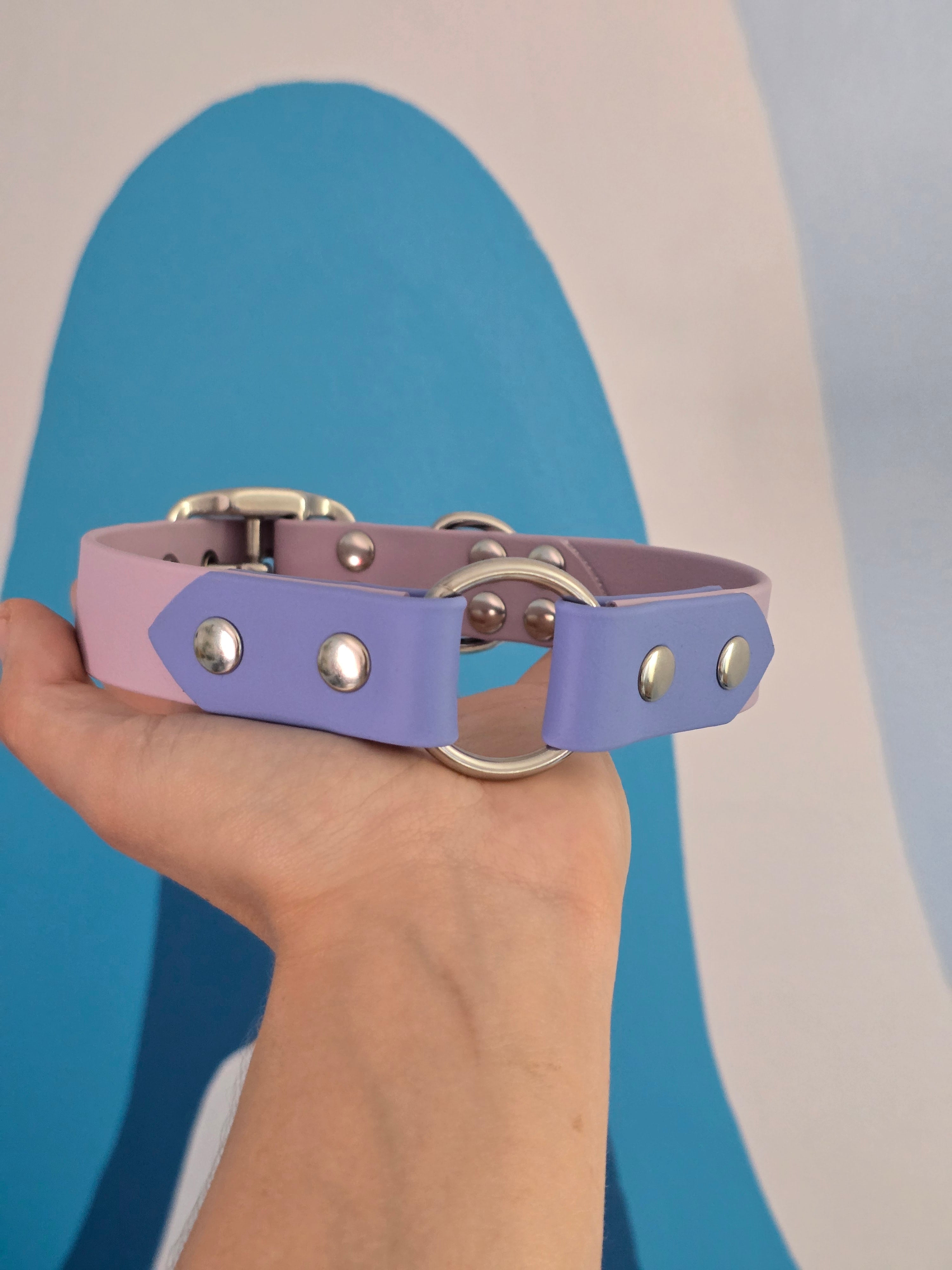 Myosotis Taille M - 25 mm
