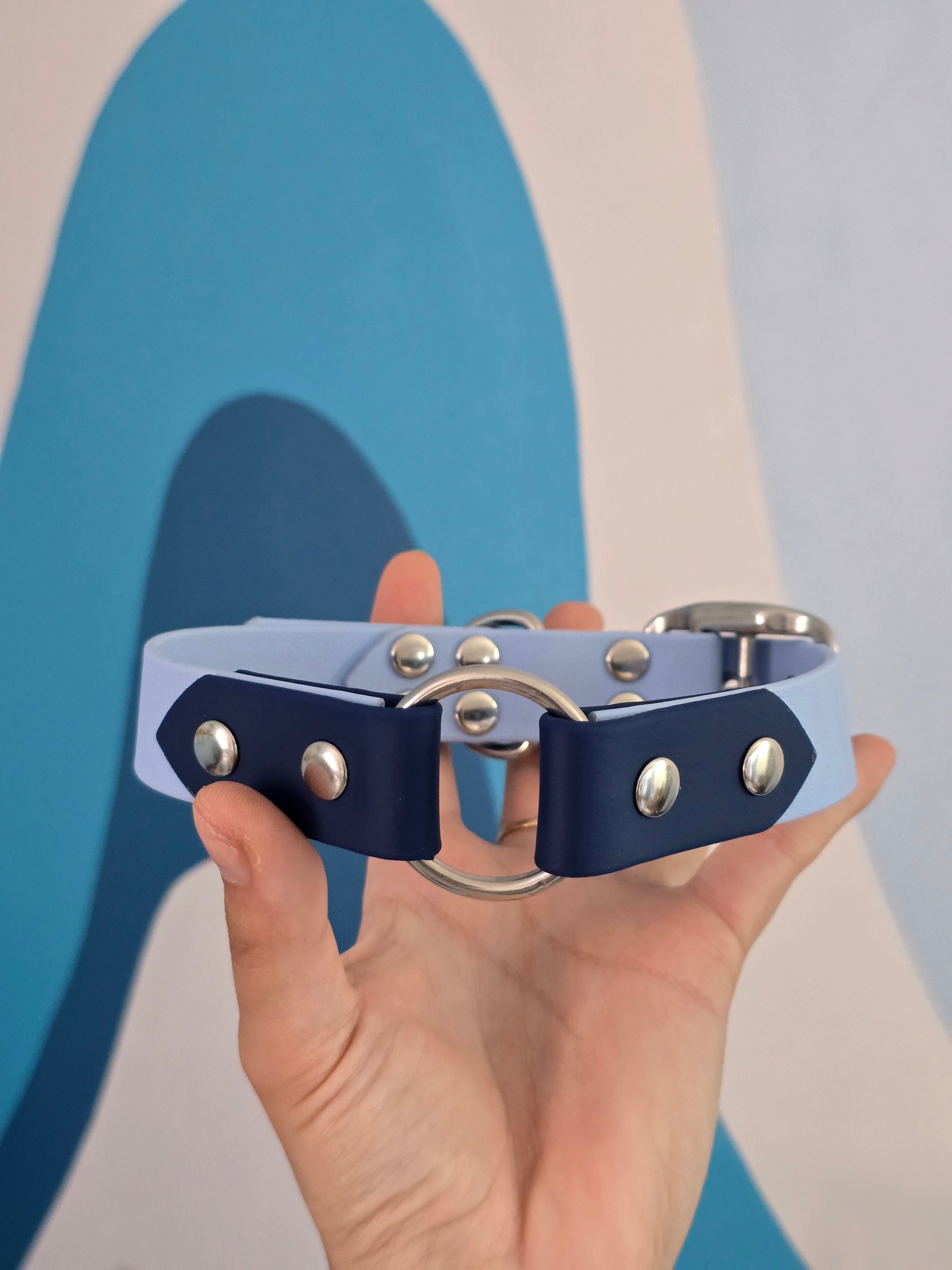 Myosotis Taille M - 25 mm