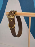 Collier BioThane Taille M - 25 mm