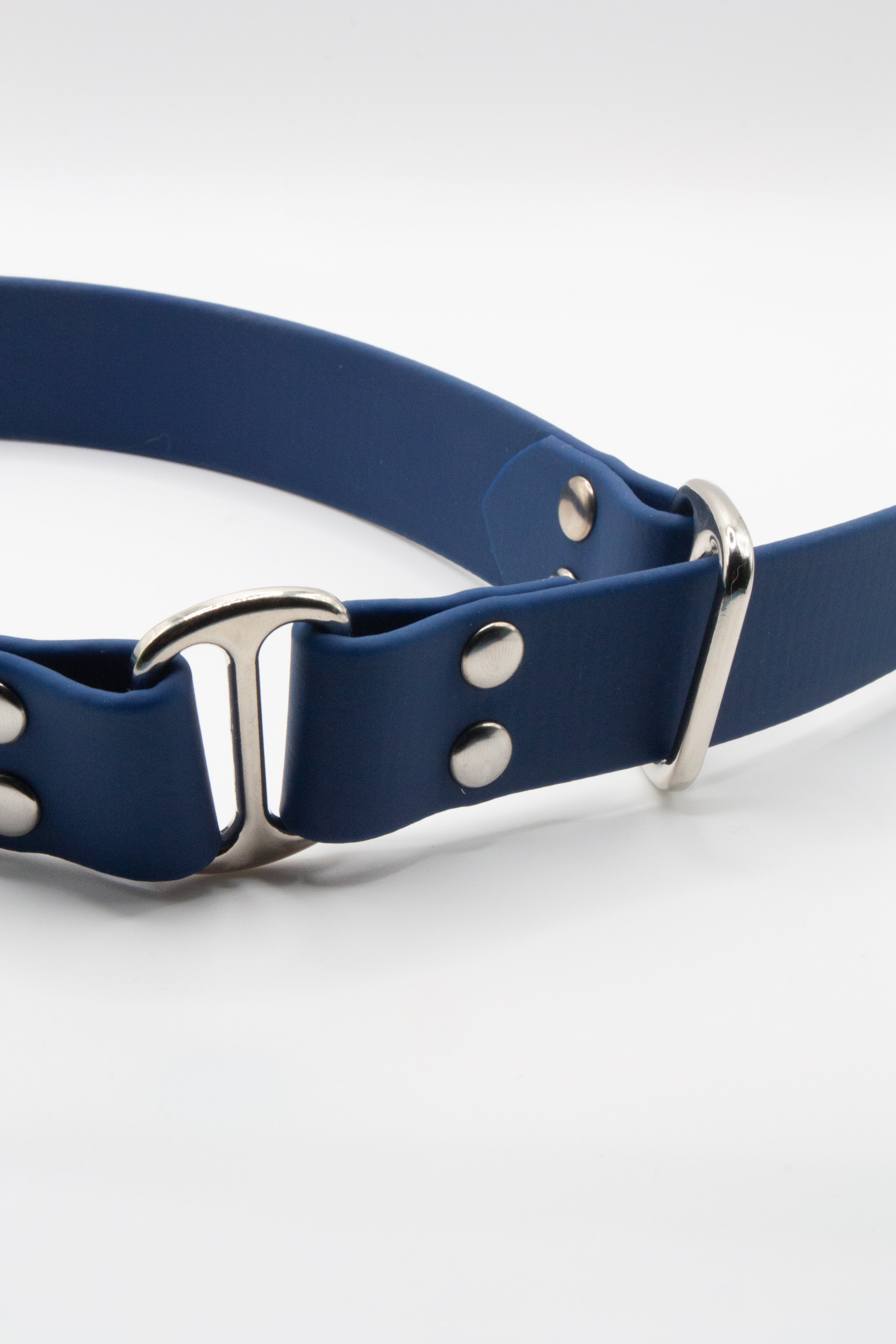 Martingale en BioThane®