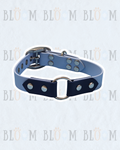 Le Myosotis