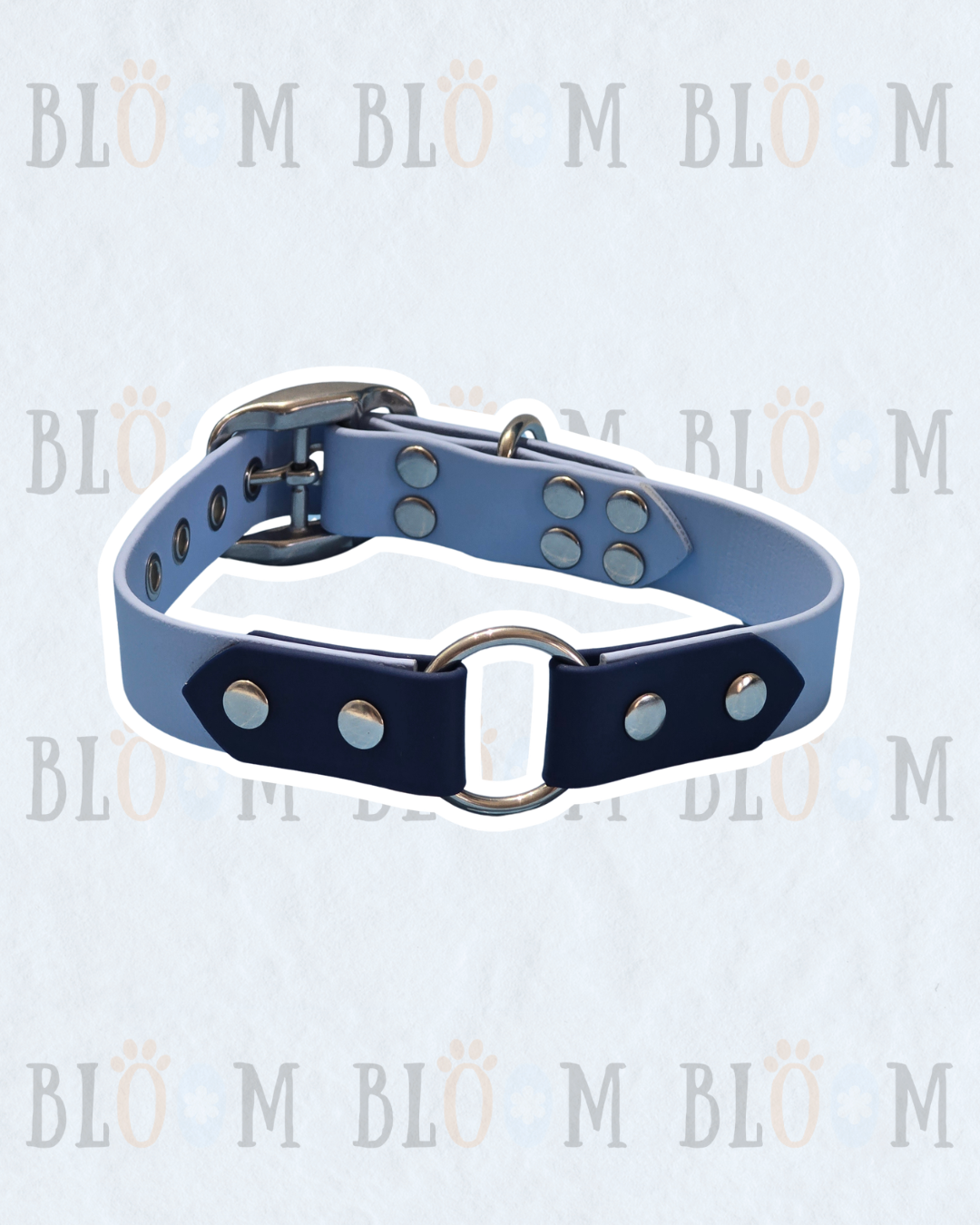 Le Myosotis