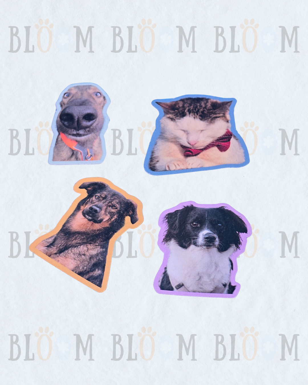 Sticker Photo Personnalisé